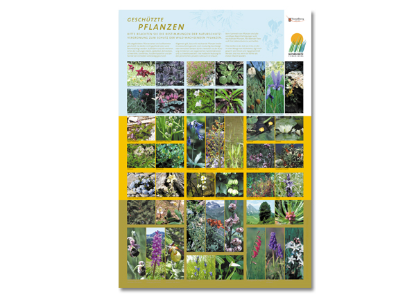 Vlbg. Landesregierung (1/4)