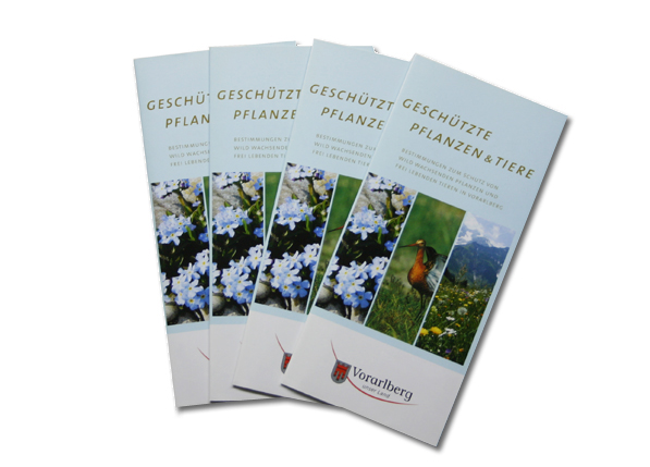 Vlbg. Landesregierung (2/4)