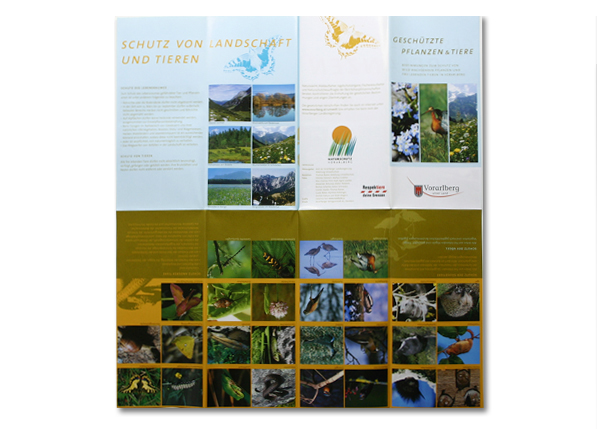 Vlbg. Landesregierung (3/4)