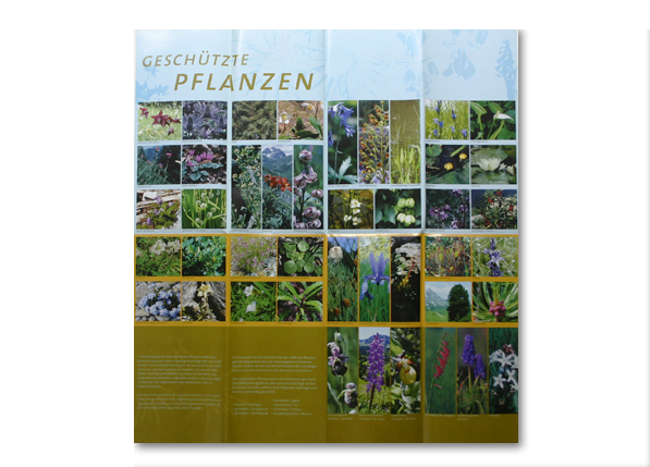 Vlbg. Landesregierung (4/4)